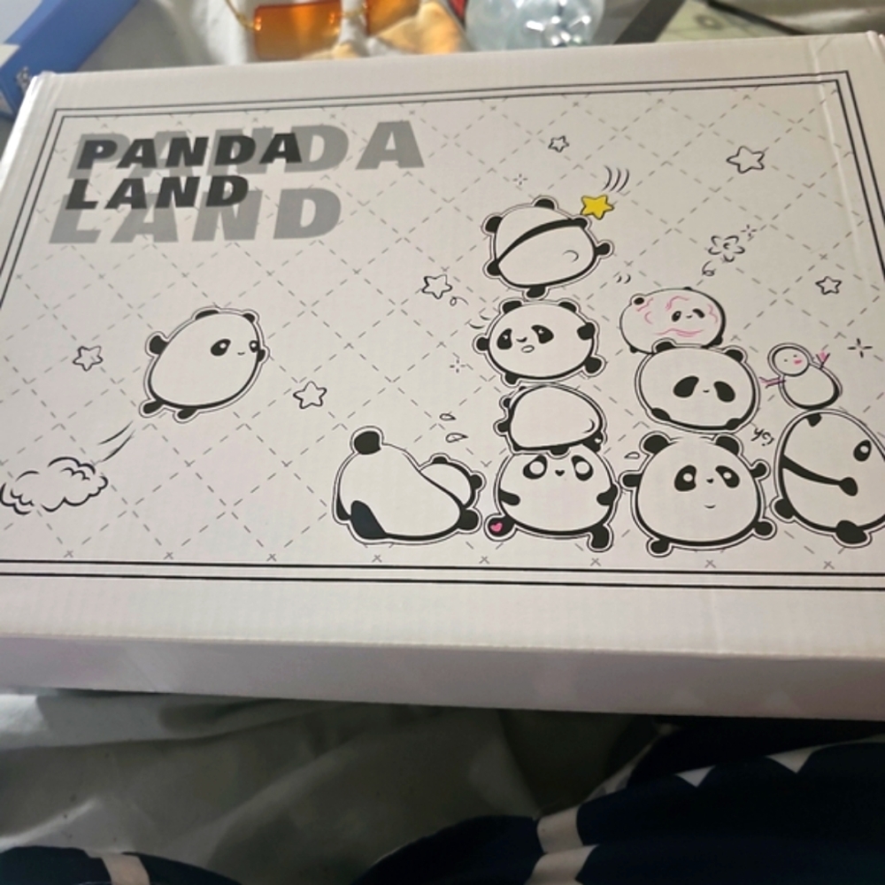 Nike "Pandaland" Exclusive dunks Size 12